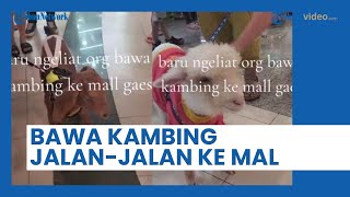 Viral Pengunjung PTC di Surabaya Ajak Kambing Jalan-jalan ke Mal, Langsung Jadi Pusat Perhatian!
