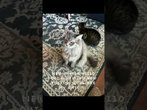 #music #chicago #newmusic #chicagomusic #synthwaveartist #xanthe #indieartist