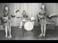 My Pal Foot Foot - The Shaggs