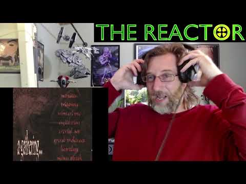 Reactor - Spiral Architect - Purpose