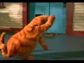 Garfield Flv