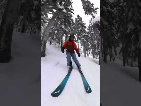 Peak Ski 88 vs. Stockli Stormrider 88