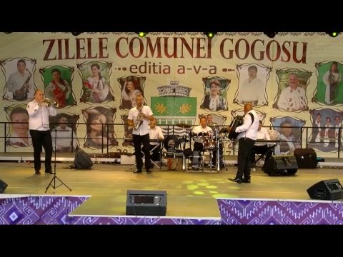 Dragisa Paunovic, Danijela Prazic & Ljubisa Bozinovic - Zilele Comunei Gogosu