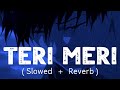 Teri Meri [Slowed And Reverb] | Rahat Fateh Ali Khan | Shreya Ghoshal | Bodyguard | Total Lofi Song