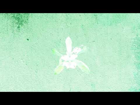 Elskavon - Spring (Piano Day)