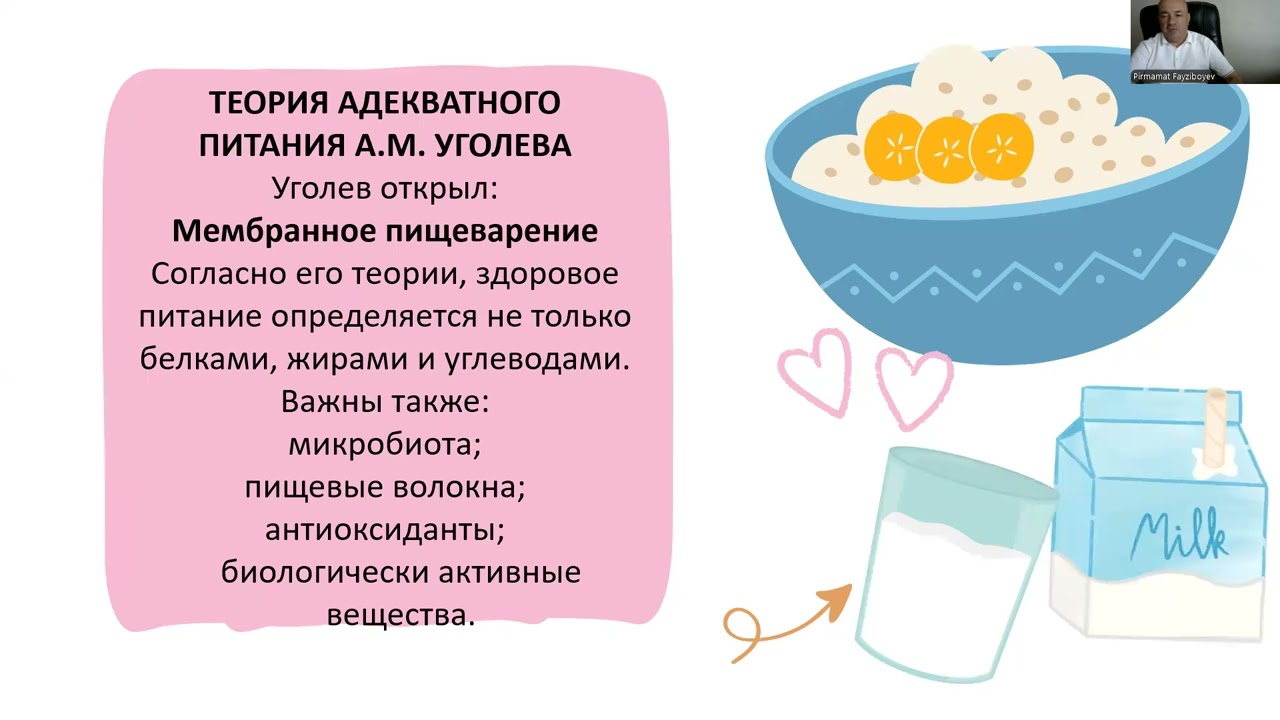 Теории основ здорового питания