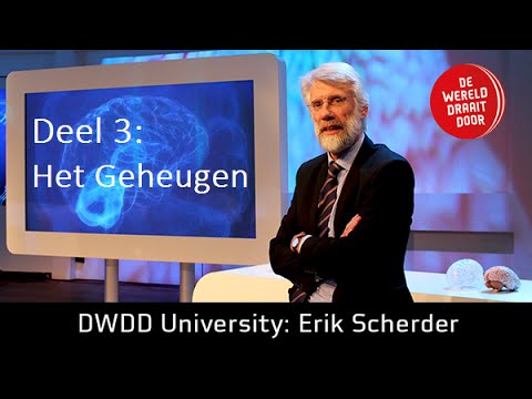 Het Brein deel 3: Prof. dr Erik Scherder in De Wereld Draait Door University