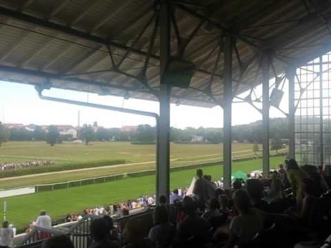 Familienrenntag Galopprennbahn Scheibenholz 2000m