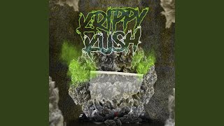 Krippy Kush song artwork
