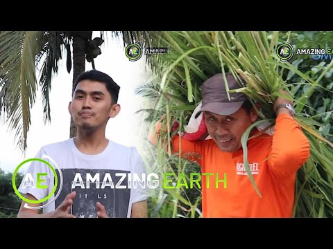Amazing Earth: Our fathers are the true warriors! (Online Exclusive)