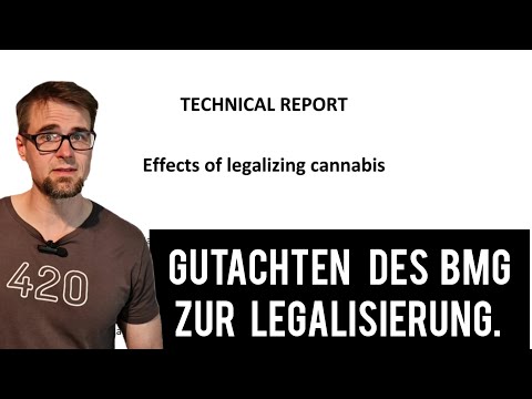 Das Gutachten zu den Auswirkungen der Legalisierung ist da!