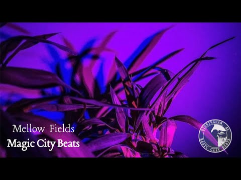 Video thumbnail XRDde5VjR0s