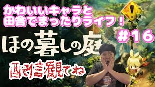 【田村保乃暮らしの庭】彼々津村とか言う田舎でまったりスローライフ！【ほの暮らしの庭】１６