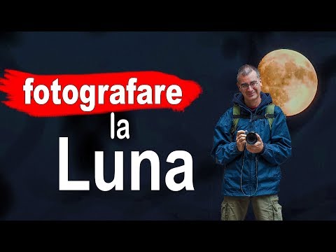 Come zenzero per accettare a parassiti Parassiti helminths nella persona di video
