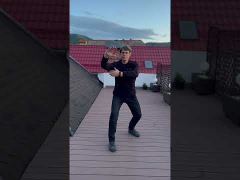 Cezar Culda Taijiquan (Taichi) I-a parte secventa de 85 de forme