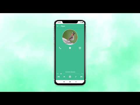 Bird songs of TicoTico Video