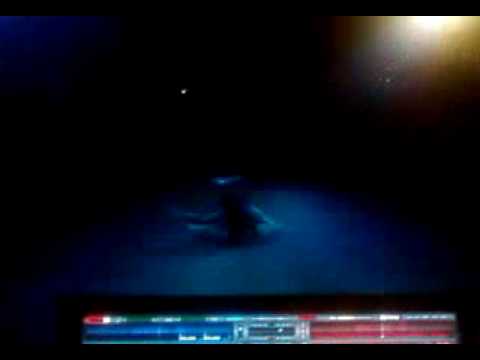 Vydmantai virkstininkai