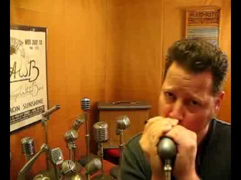 Astatic JT-30 / Shure CM Vintage Bullet Harp Mic