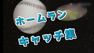 【プロ野球】ホームランキャッチ集(1981~2020)