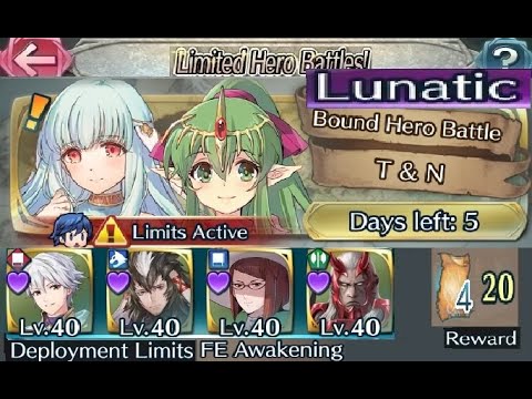 The battle with Limited unit : Vs. Tiki & Ninian - Lunatic (with F2P units, No SIs / seals)