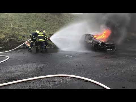 DHZ Reca - Výcvik Lešť 1