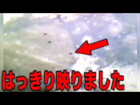 ついに確認:これは本当に月の中に隠されている