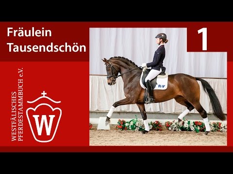 01 Fräulein Tausendschön Stute v. First Selection -  Rifaisos