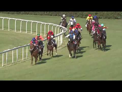 2023.07.02 10. FUTAM - SZERENCSEJÁTÉK ZRT. - 101. MAGYAR DERBY (HUN GD-1) (NGL-IV.)