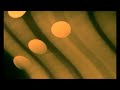 MUBI Argentina Cine Argentino Azor