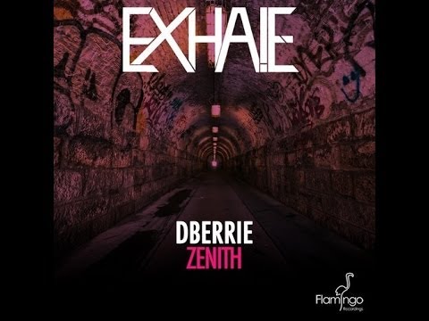 dBerrie vs. Macklemore - Zenith can't hold us (Dannic Mashup) (EXHALE Edit)