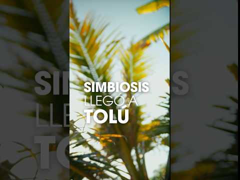Simbiosis llegó a Tolú -Fundación Grupo BUOS