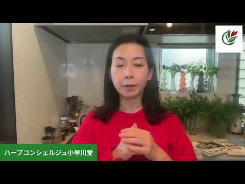 医療ビジネス薬科学科 クリスマスイブに何作ろうかな？