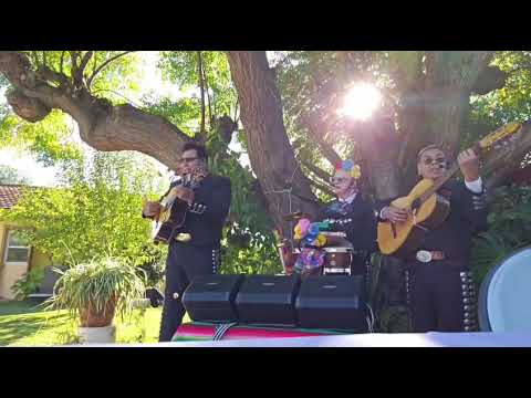 Promotional video thumbnail 2 for Mariachi Trio Los Azulado