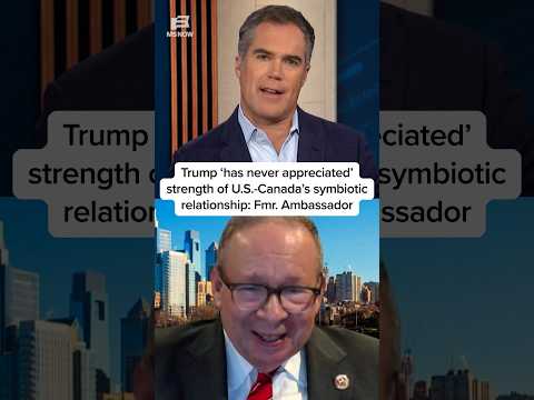 Trump 'has never appreciated' strength of U.S.-Canada's symbiotic relationship: Fmr.  Ambassador