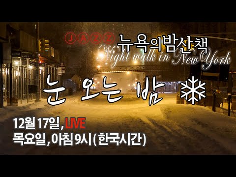 뉴욕랜선여행  😋 뉴욕의 눈 오는 밤[live]