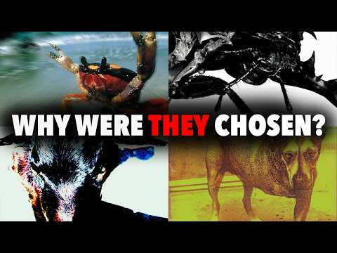 The Stories Behind These Animals Becoming Music History