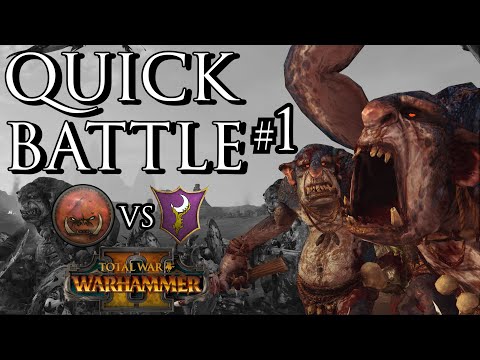 Greenskin vs Dark Elves! - Quick Battle #1