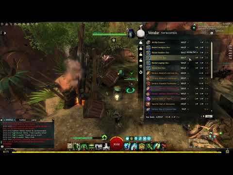 GW2 | A Great ALTERNATIVE to get CELESTIAL GEAR Purchase in VERDANT BRINK