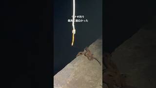 #釣り #フィッシング #海 #ウナギ釣り #釣りガール