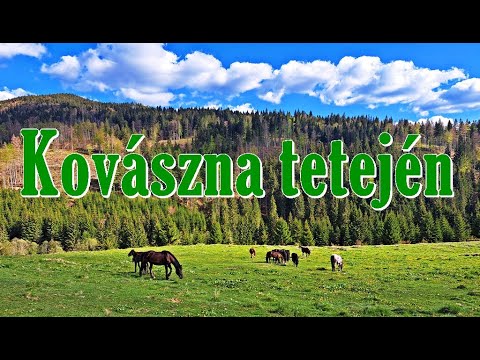 Ez ám az igazi vadon! A Kárpát kanyar végtelen erdőségeiben kirándultunk, a Háromszéki-havasokban.