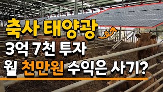 축사위 태양광 대박일까 사기일까? 1000만원 수익의 진실은? 태양광수익