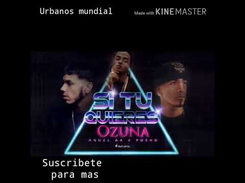 Ozuna x Anuel AA x Pusho - Si tu quieres