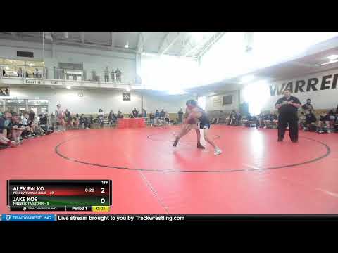 119 Lbs Round 2 (8 Team) - Alek Palko, Pennsylvania Blue Vs Jake Kos, Minnesota Storm Fdac