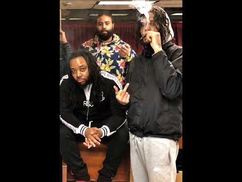 Ace Cino - RGS Breed