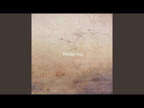 Media Vita