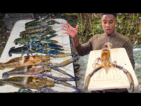 How To Catch, Clean & Cook Giant Crayfish