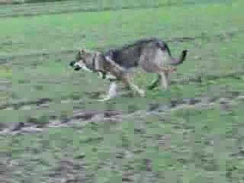 Ranni 6 Months Clip 3