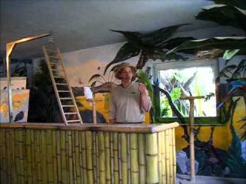 2012 06 04 Papageienshow Willingen.wmv