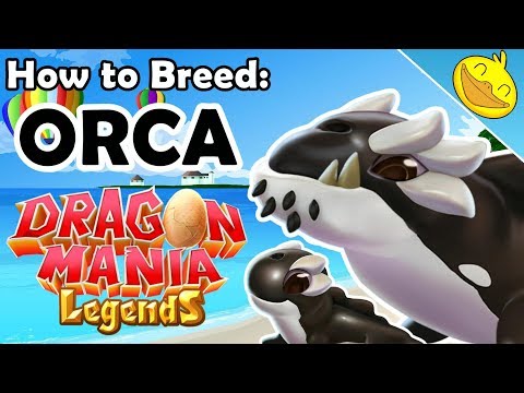 How to Breed the ORCA DRAGON + New Whalemart Deals! (Legendary Enchantment Breeding) - DML #1055