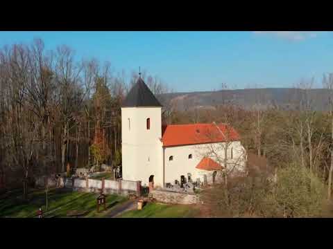 Náhled pro video reference